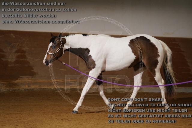 s_K3F01757.JPG